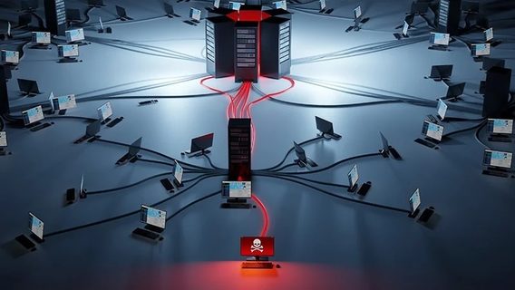 ФБР і поліція Нідерландів ліквідували ботнет із понад 7000 старих роутерів, пов'язаний із росіянами