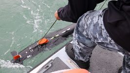 Британцы передадут Украине подводные дроны-искатели мин. Что это за оружие и на что способно: фото, видео