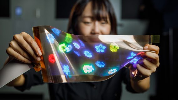 LG випустила 12-дюймовий дисплей, якому можна надати будь-якої форми і навіть 10 000 разів згорнути в трубочку