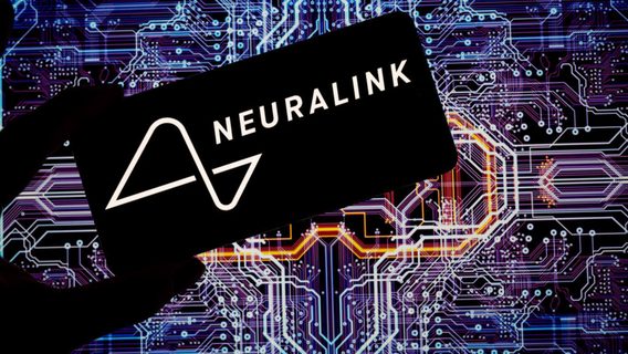 Ексспівробітниця Neuralink подала до суду через небезпечні умови роботи з лабораторними мавпами. Що сталося? 