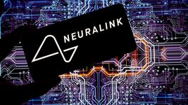 Ексспівробітниця Neuralink подала до суду через небезпечні умови роботи з лабораторними мавпами. Що сталося? 