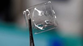 Japanese scientists have created plastic that dissolves in seawater in an hour
