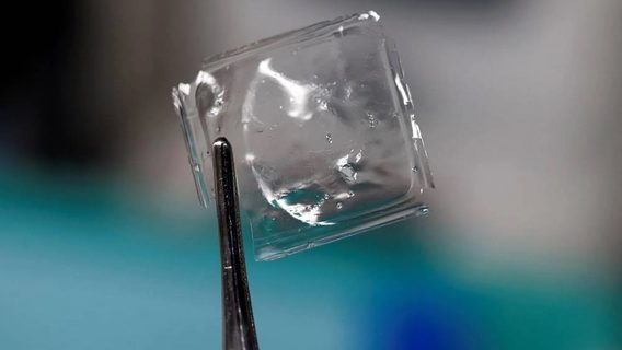Japanese scientists have created plastic that dissolves in seawater in an hour