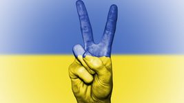 IT-спільнота запустила чат-бот для координації дій волонтерів