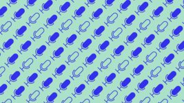 Компанія OpenAI запустила нову нейромережу Whisper із відкритим кодом для перетворення аудіо в письмовий текст. І вона безоплатна для користувачів
