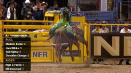 Nvidia and Palantir technologies are being used to implement AI at cowboy rodeos