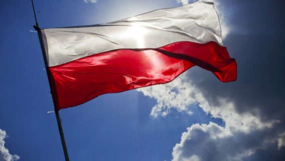 Де вивчати польську мову? Знайшли зручну онлайн-школу зі знижкою 50%