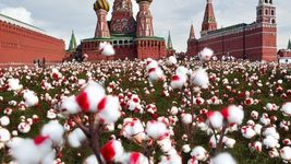 «Повернись живим» та ГУР анонсували «Бавовну у Москві». Обіцяють працювати на дальні дистанції, та деталі тримають в секреті