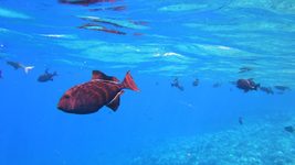 China has created the world's first ocean simulator with a resolution of 1 km