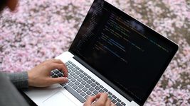 За сентябрь количество активированных профилей айтишников на Djinni уменьшилось на 4%. Каких специалистов ищут больше всего