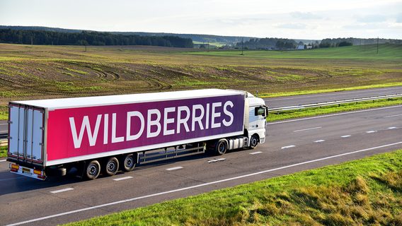 Wildberries в Україні наторгувала на 400 млн грн. Це 0,01% обороту