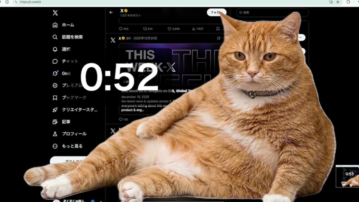 UPD. У соцмережах стало популярним розширення Cat Gatekeeper яке допомагає зупинити думскролінг за допомогою гладкого рудого кота