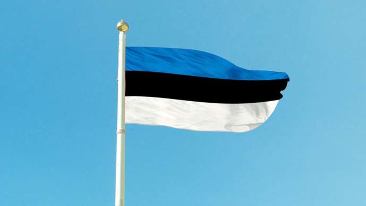 Российскую разработку могут выдворить из Эстонии за уклонение от уплаты налогов