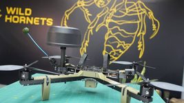 Wild Hornets drones 