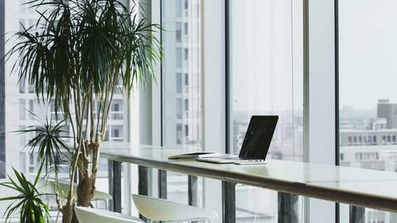 IT Auditor порахував в цифрах, скільки життя втрачає людина, працюючи в офісі. Чи погодились з його підрахунками айтівці