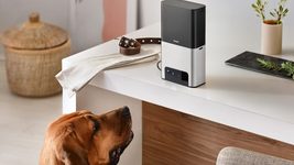 «Соразмерны с канадскими». В Petcube рассказали о первых результатах продаж в Украине