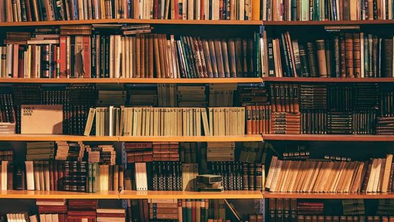 Meta можливо тренувала свої ШІ-моделі на ще не опублікованих книгах: як так сталось 