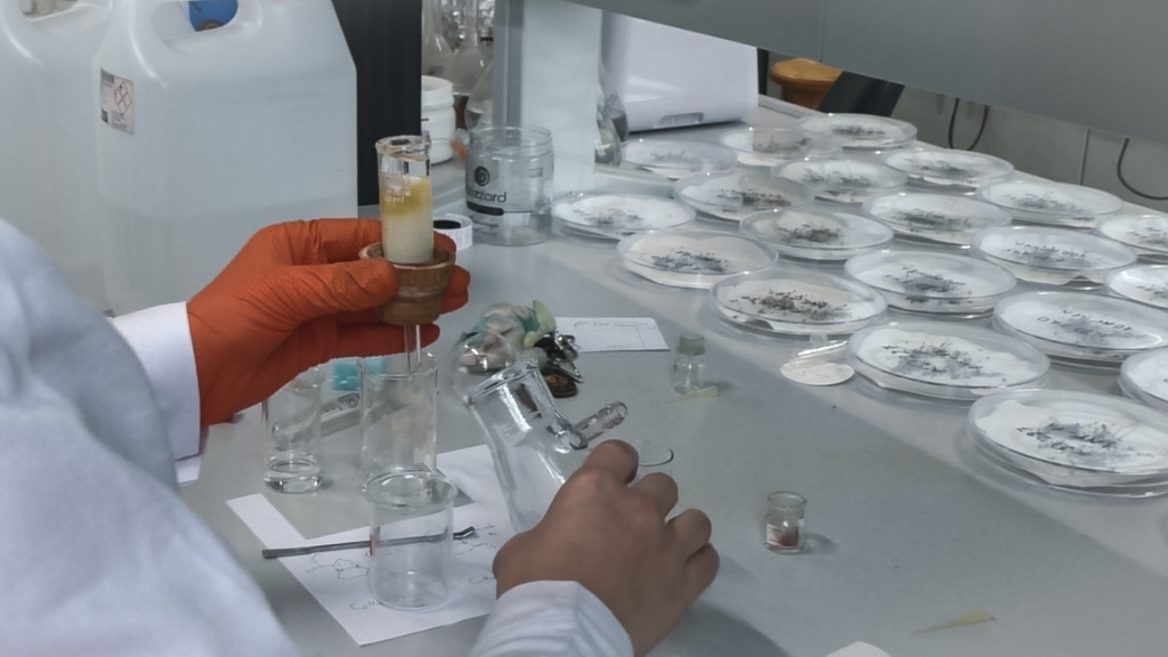 Уряд затвердив список перших замовлень науковцям від держави. Які бюджети та дедлайни 