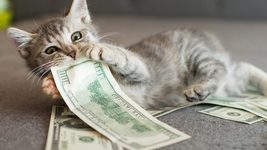 7 способов заработать деньги с помощью ChatGPT писателя и бизнесмена из Пакистана