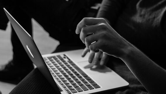 A software engineer from the State Service for Food, Agriculture and Consumer Protection was tried in Bukovina for using someone else's authorization data to log into his official mailbox. What punishment did the court impose?