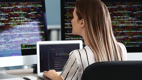 У липні 2024 року на Djinni було понад 800 наймів: на яку зарплату могли розраховувати початківці і які були топові пропозиції
