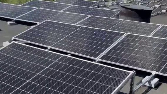 Український виробник кормів для собак і котів Practik зробив ставку на енергонезалежність і вже має результати. Чому сонячні панелі на даху заводу та sustainable pet food — це не тренд, а необхідність