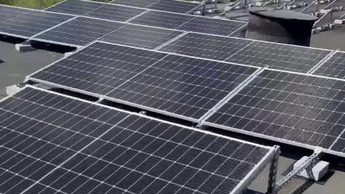 Ukrainian dog and cat food manufacturer Practik has made a bet on energy independence and is already seeing results. Why solar panels on the factory roof and sustainable pet food are not a trend, but a necessity