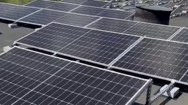 Ukrainian dog and cat food manufacturer Practik has made a bet on energy independence and is already seeing results. Why solar panels on the factory roof and sustainable pet food are not a trend, but a necessity