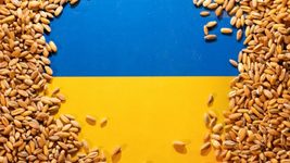 Український підприємець і команда айтішників створили систему, що допоможе усунути зернове ембарго, та передали її Єврокомісії