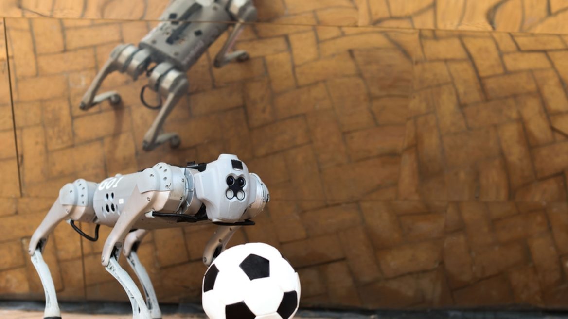 Американські дослідники розробили чотириногого собакоподібного робота який може грати у футбол на різній місцевості