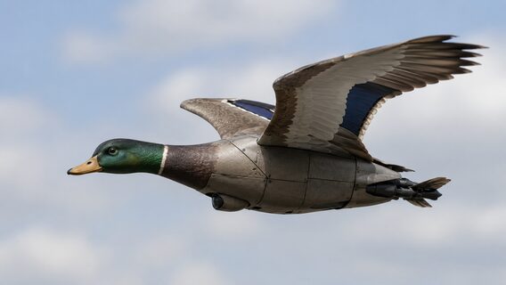 Українська Contra Drone представила автономний ШІ-перехоплювач Peace Duck для полювання на російські «Орлани»