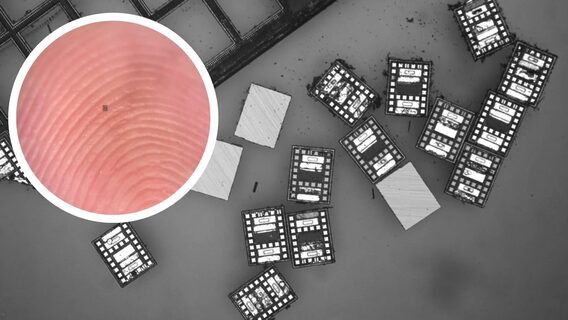 Американці створили найменших роботів у світі розміром із бактерію: що вони вміють