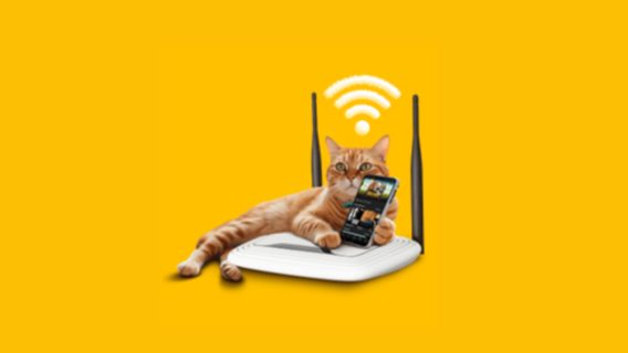 lifecell відкрив можливість підключати до наявного тарифу домашній інтернет за вигідною ціною