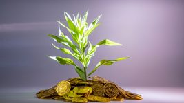 A marketplace for investors 
