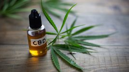 Українські військові на реабілітації 3 тижні приймали олію CBD, яку виготовляють із канабісу. Яким був результат експерименту Українські військові на реабілітації 3 тижні приймали олію CBD, яку виготовляють із канабісу. Яким був результат експерименту