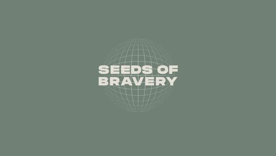 Seeds of Bravery: 78 українських стартапів отримали гранти на понад 1,8 млн євро