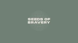 Seeds of Bravery: 78 Ukrainian startups received grants worth over 1.8 million euros