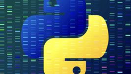 Microsoft добавляет Python в электронные таблицы Excel, предварительный просмотр уже доступен на Windows