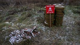 Эффективность гуманитарного разминирования в Украине в три раза выше, чем в других странах.