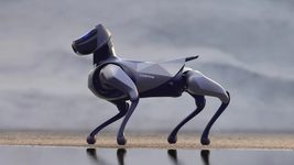 Xiaomi представила преемника CyberDog. Что умеет и сколько стоит этот пес