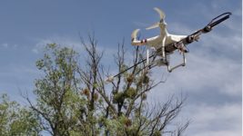 Українка запатентувала гаджет для дрона, який може побороти омелу Українка запатентувала гаджет для дрона, який може побороти омелу