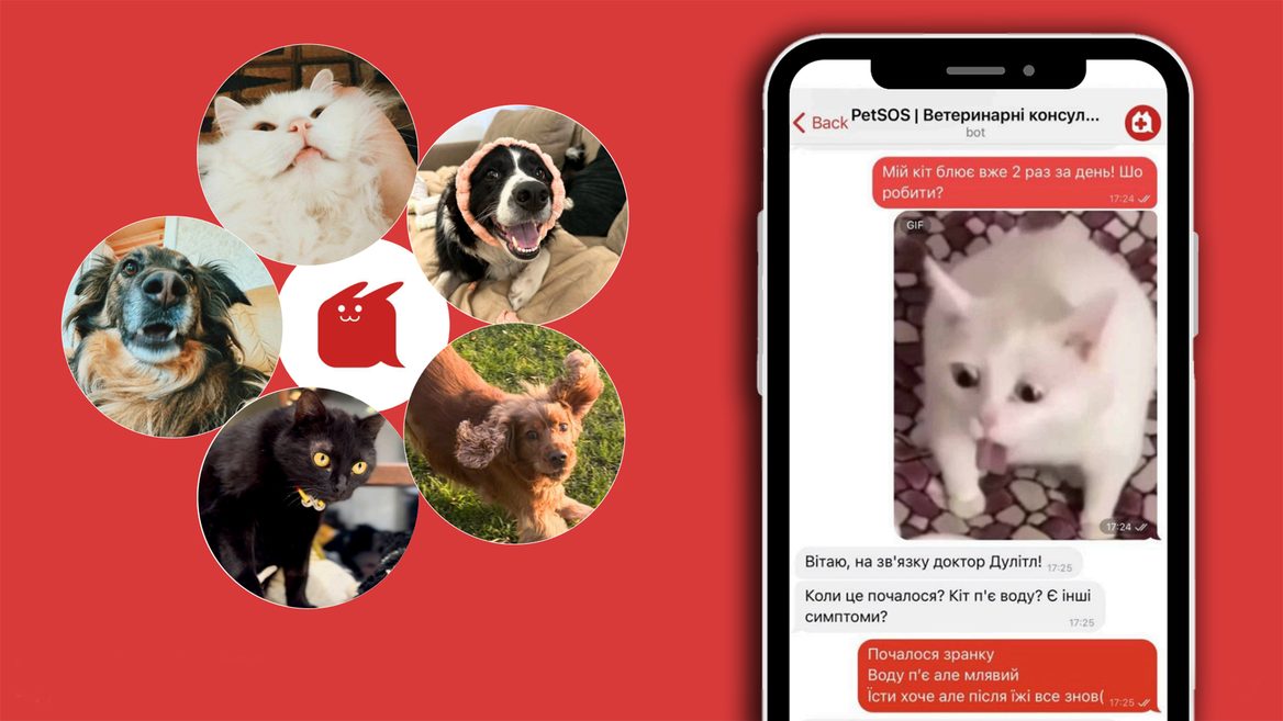 "At 11:00 PM, we saved a horse." How Ukrainian IT workers created a "veterinary Helsi" for emergency care for animals