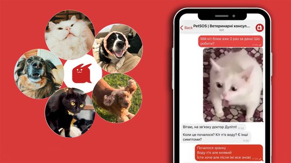 "At 11:00 PM, we saved a horse." How Ukrainian IT workers created a "veterinary Helsi" for emergency care for animals