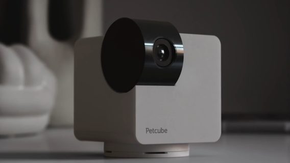 Petcube выпустил новую камеру — Petcube Cam 360. Ее дизайн отсылает к творчеству Казимира Малевича