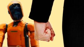 Professional AI bully: what a candidate who is willing to pay $100 per hour should do