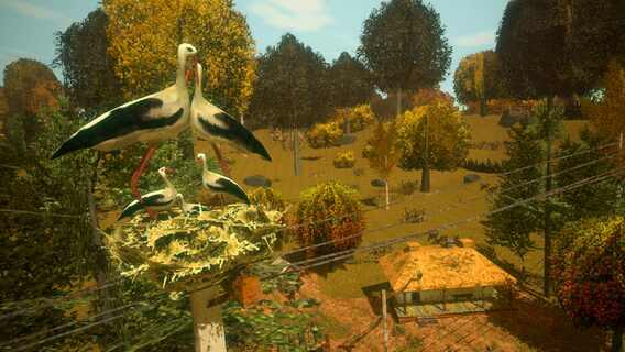 Back to Hearth, a game about the restoration of a Ukrainian village, has been released on Steam