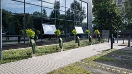 SoftServe opened an Alley of Memory for fallen colleagues who died in the War of Independence of Ukraine