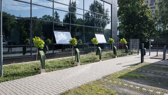 У SoftServe відкрили Алею пам'яті для полеглих колег, які загинули на Війні за Незалежність України