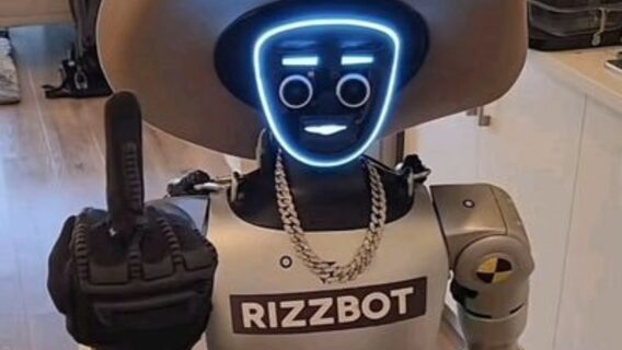 Unitree shares soar 460% after IPO. What can the Chinese company's robots do?
