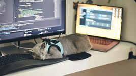 Українська розробниця налаштувала Claude Code щоб він відповідав коротше. Як вона це зробила? 